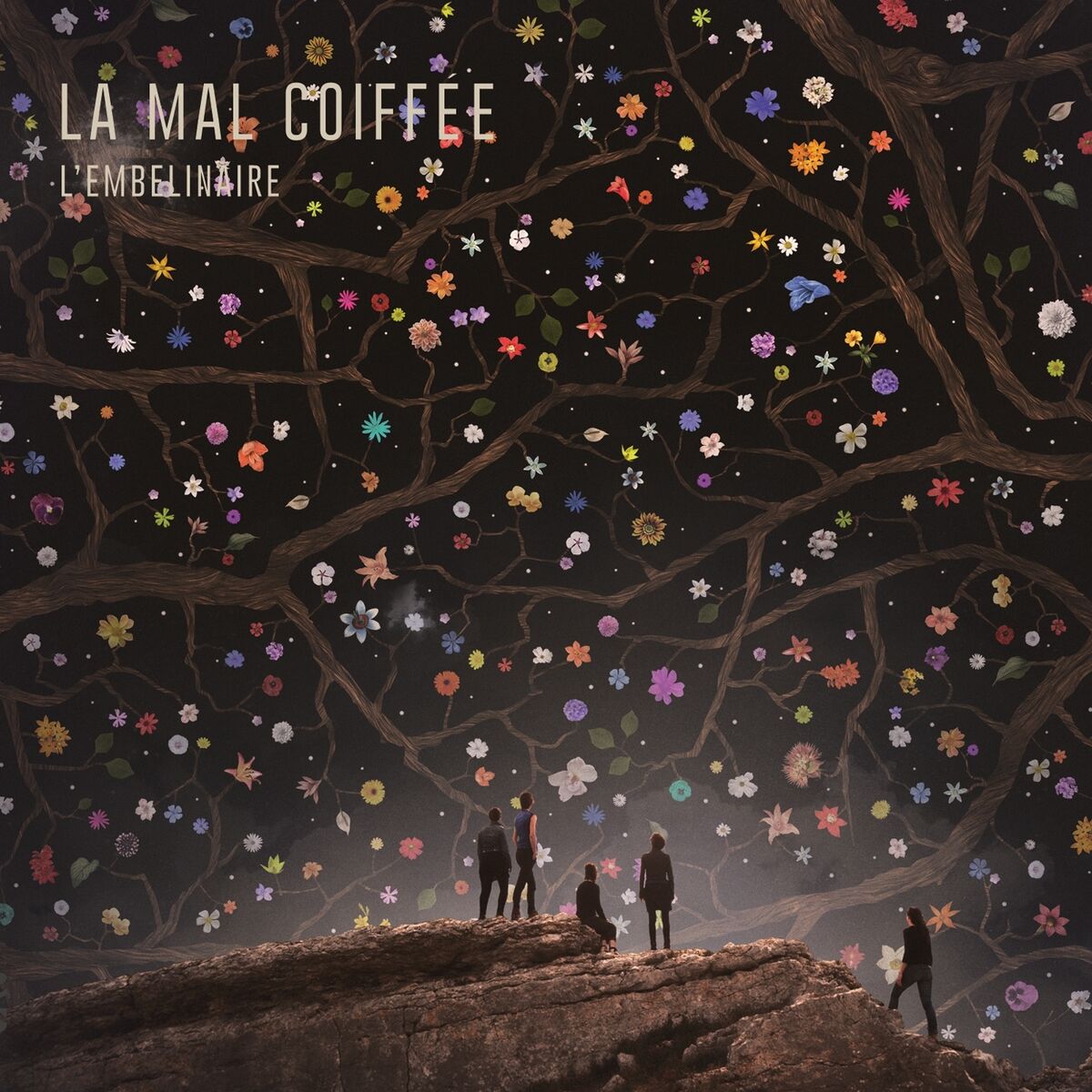 Album cover of De femna e d'òme
