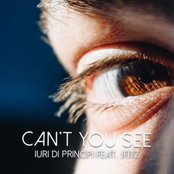 Cover of Can't you see
