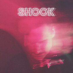 Cover of Shook
