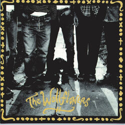 Cover of The Wallflowers