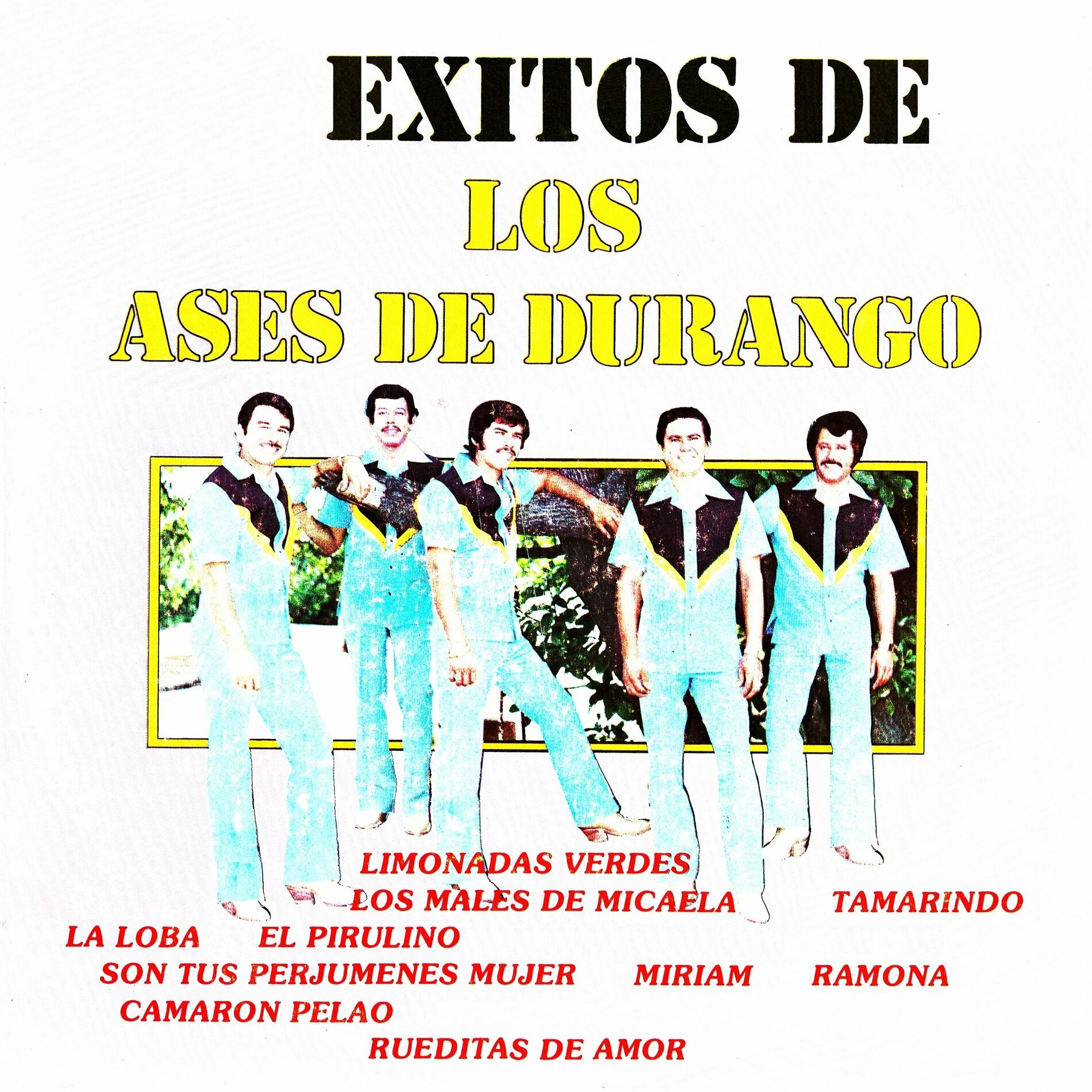 Album cover of Éxitos de los ases de Durango