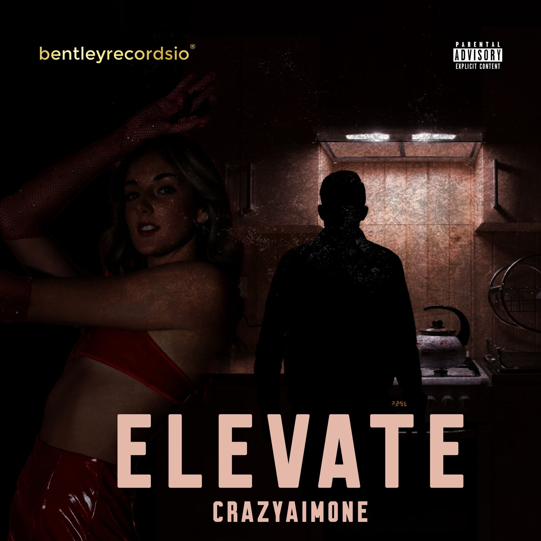 Album cover of Elevate