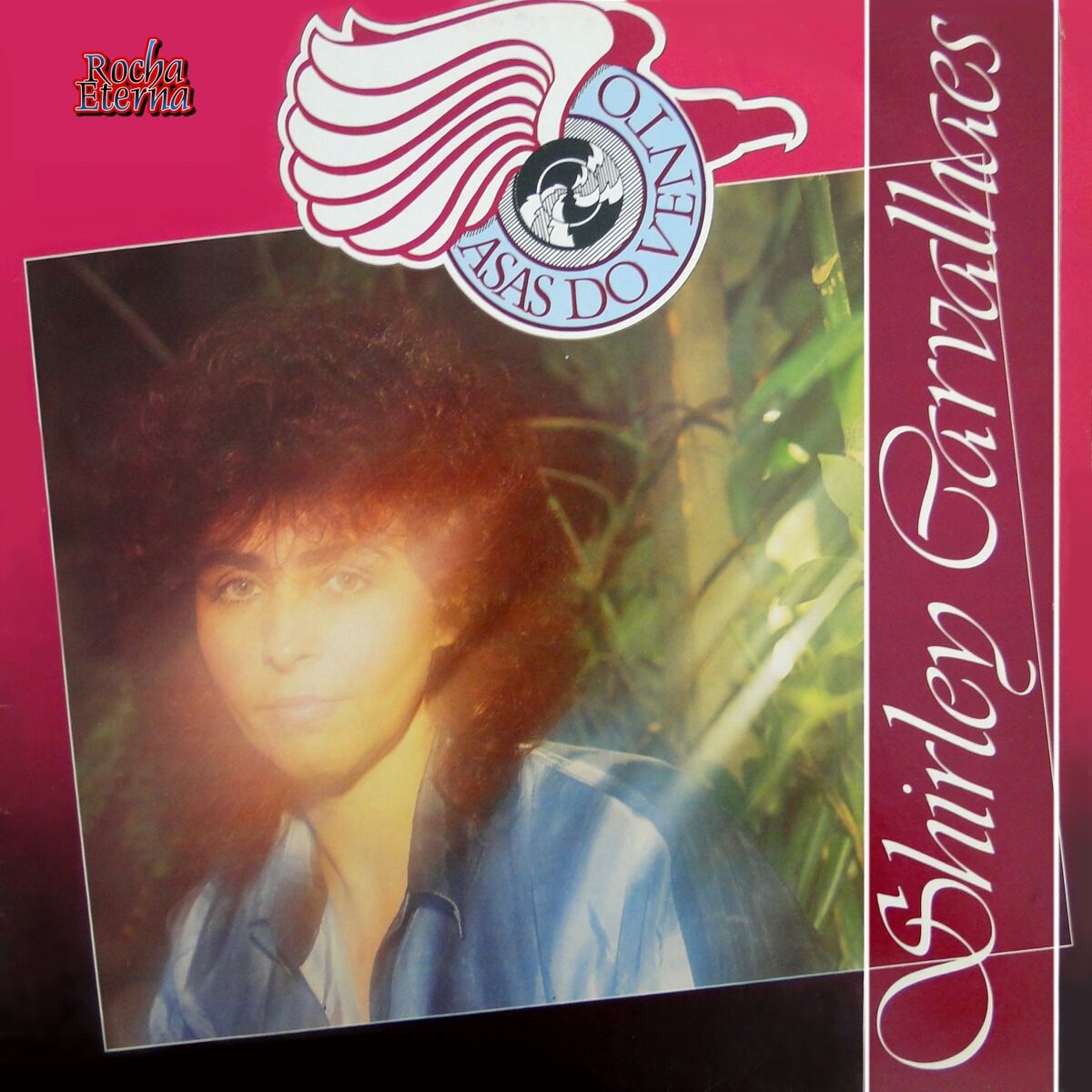 Album cover of Asas do Vento
