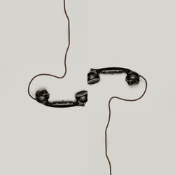 Cover of Stop Calling