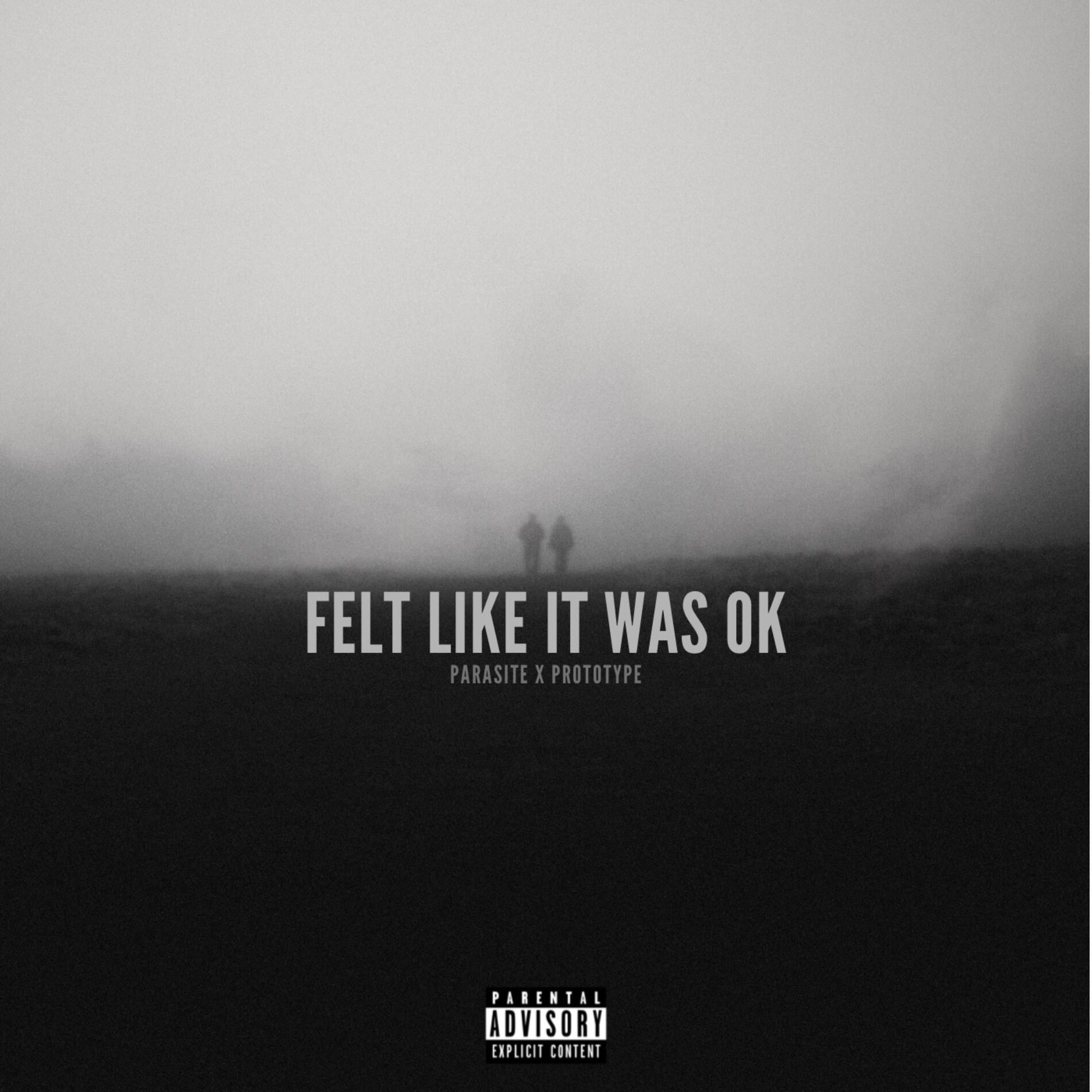 Album cover of Felt Like It Was Ok