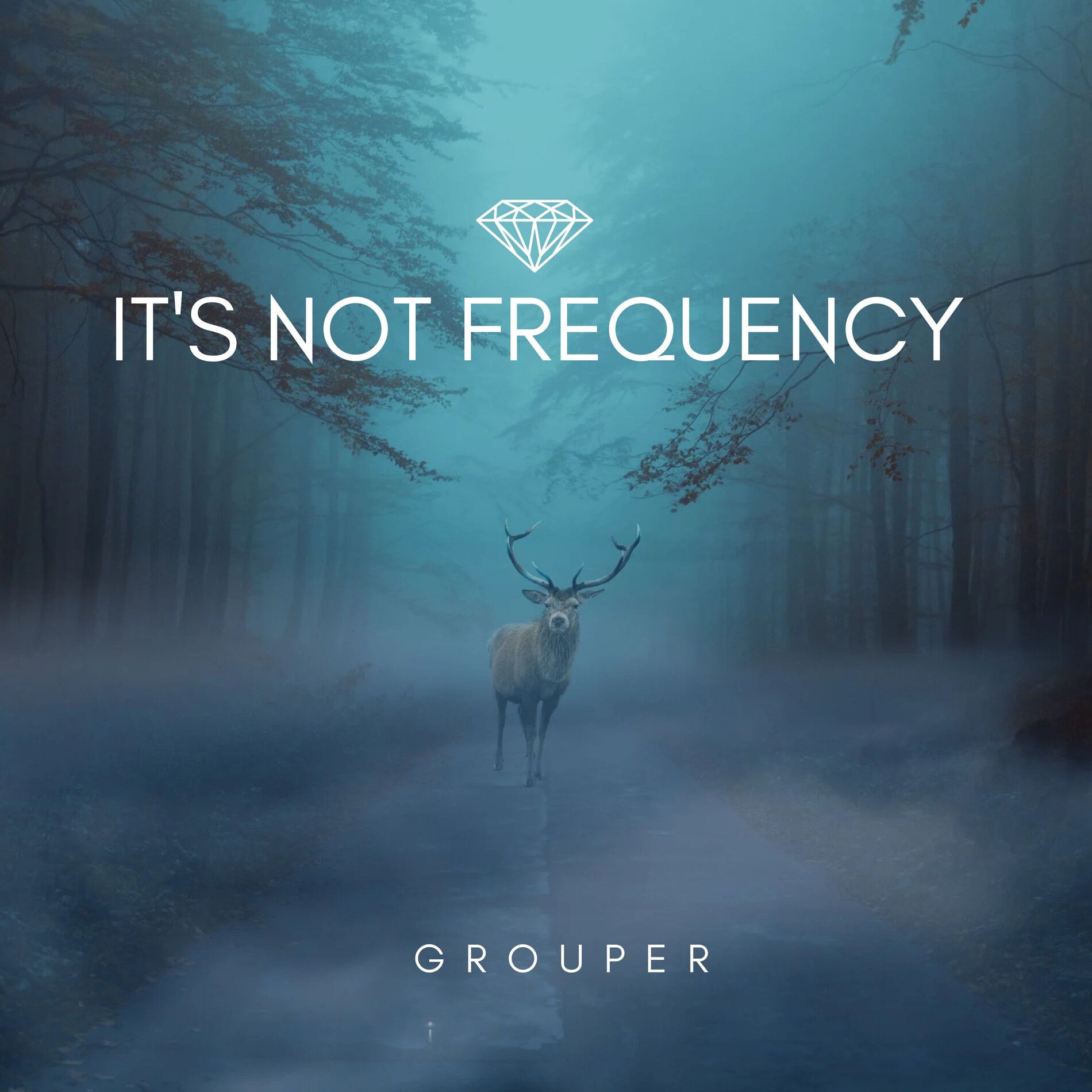 Album cover of It's Not Frequency