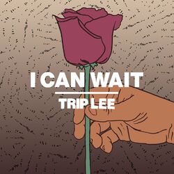 Cover of I Can Wait