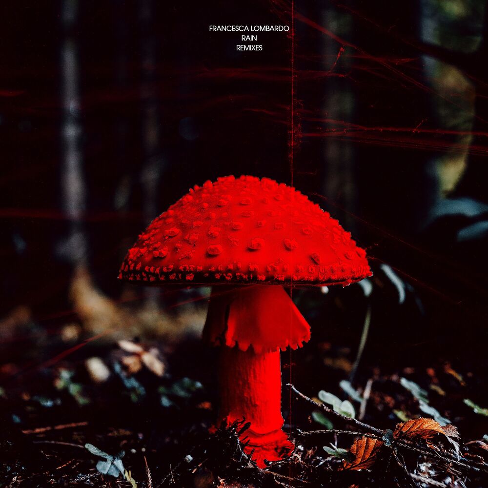 Picture of Rain (Remixes)