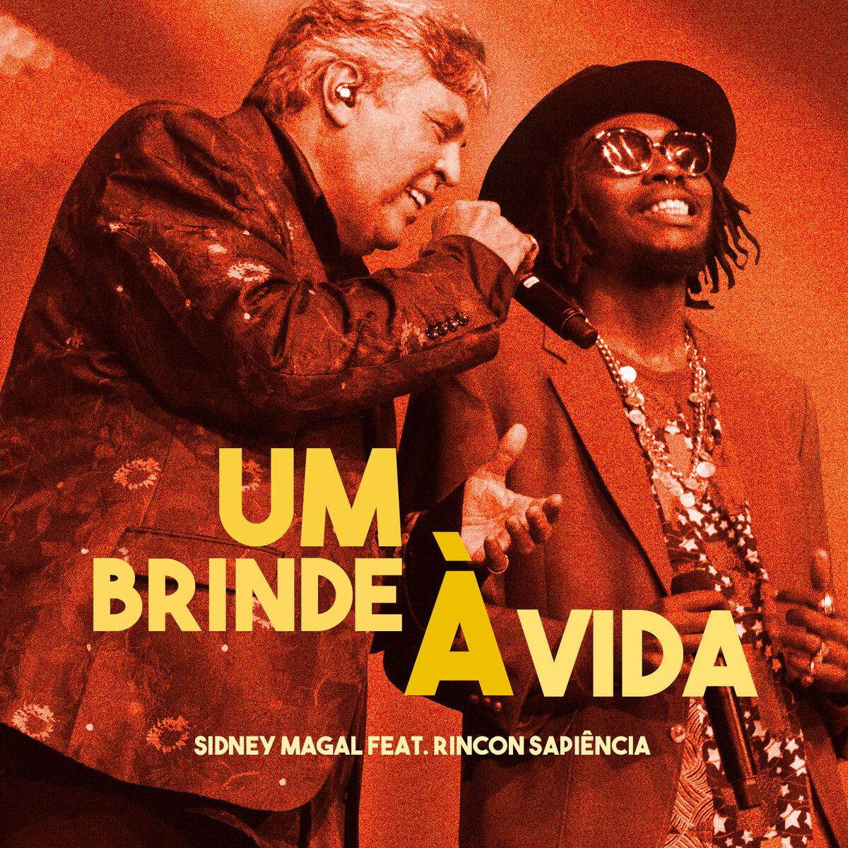 Album cover of Um Brinde à Vida