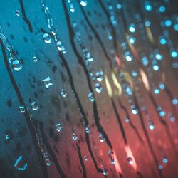 Cover of 12AM Showers: A Year of Falling Skies