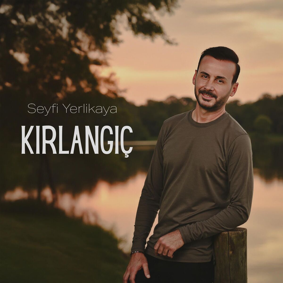 Album cover of Kırlangıç