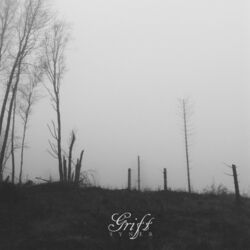 Cover of Syner