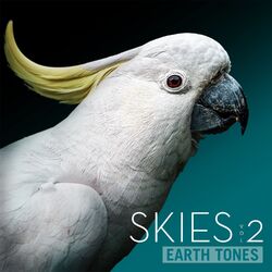 Cover of Earth Tones: Skies 2
