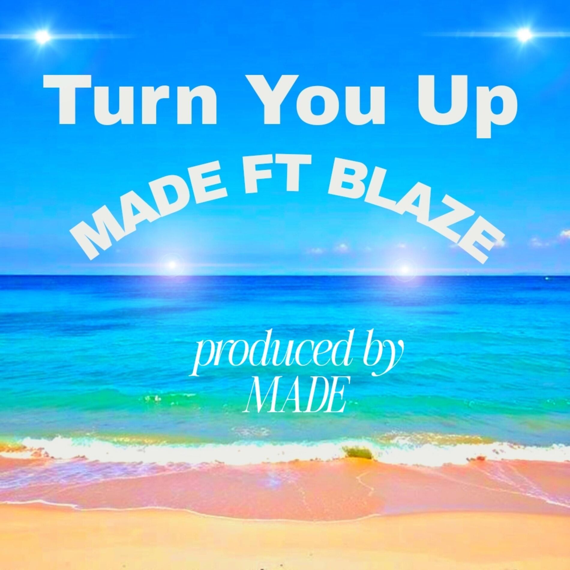 Album cover of Turn You Up (feat. Blaze)