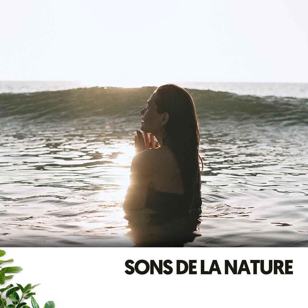 Picture of Sons de la Nature : Océan Calme