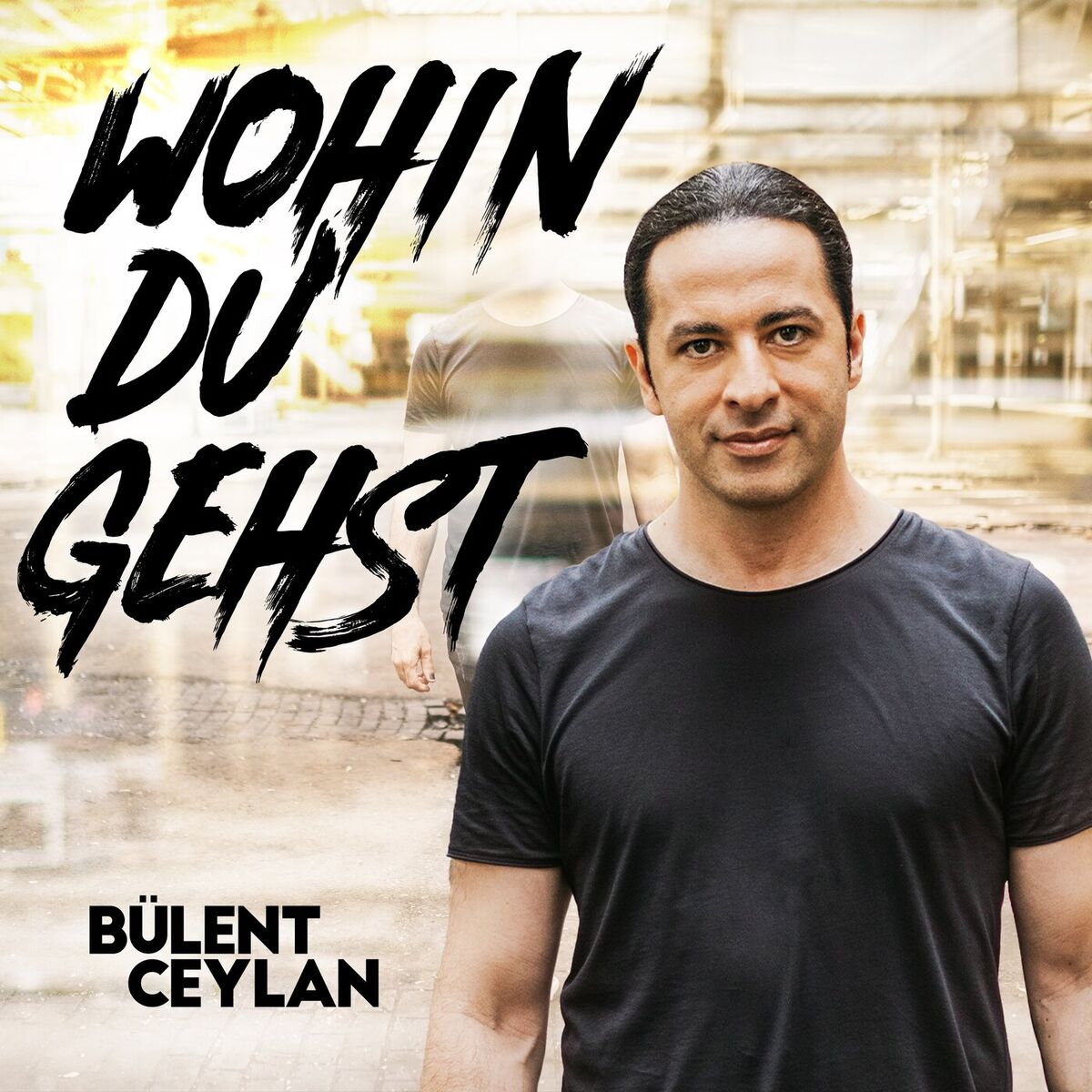 Album cover of Wohin du gehst