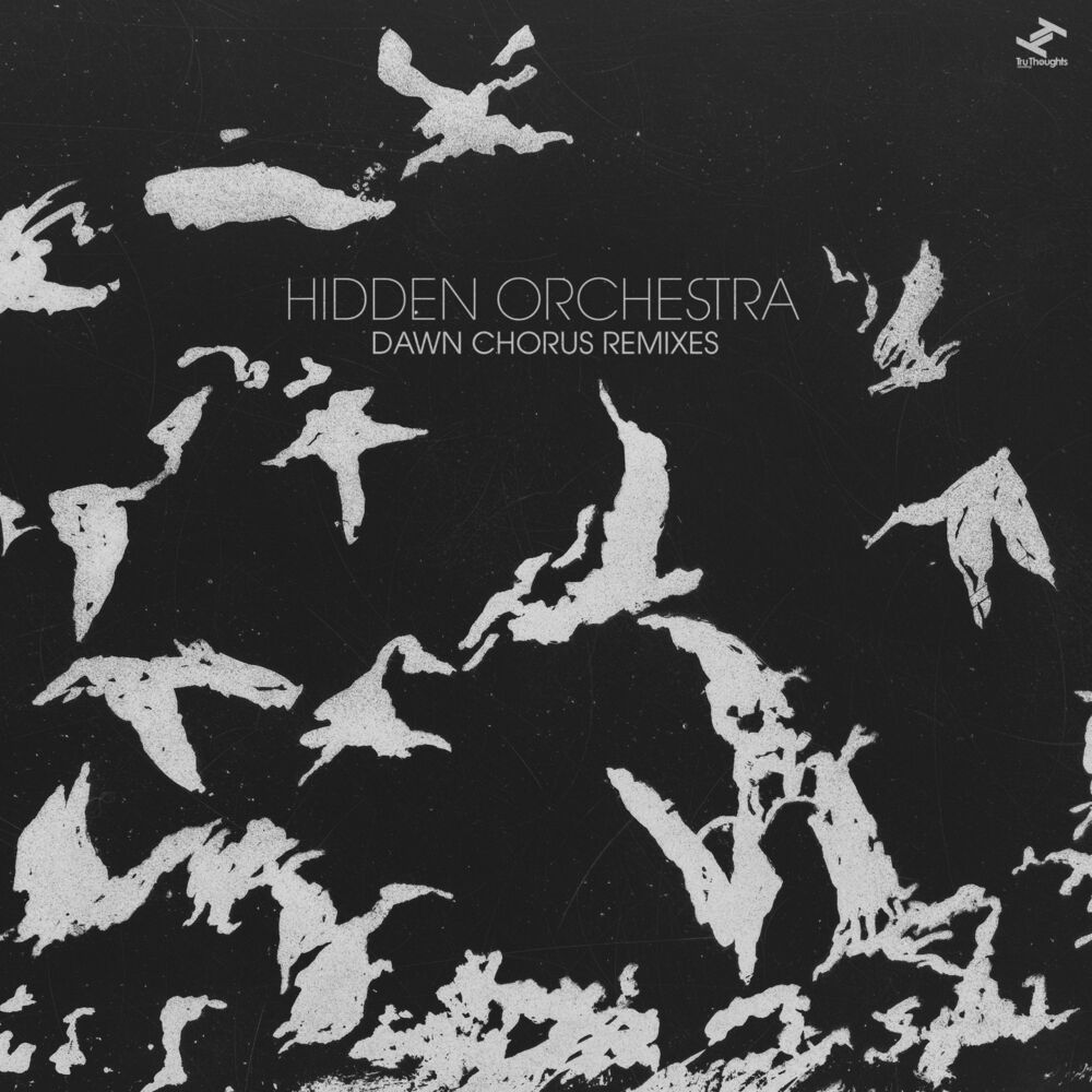 Picture of Dawn Chorus Remixes