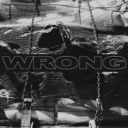 Cover of Wrong
