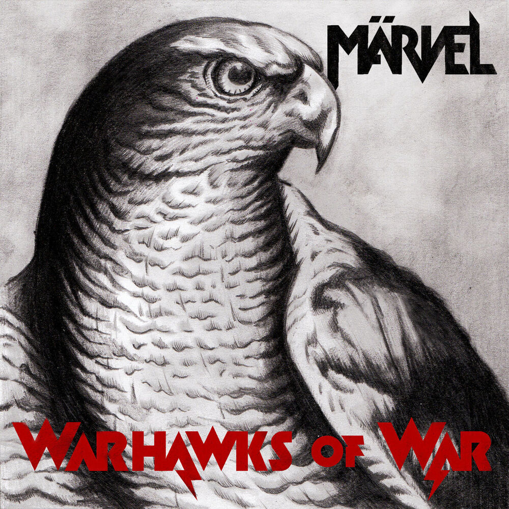 Picture of Warhawks of War