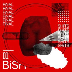 Cover of FiNAL SHiTS