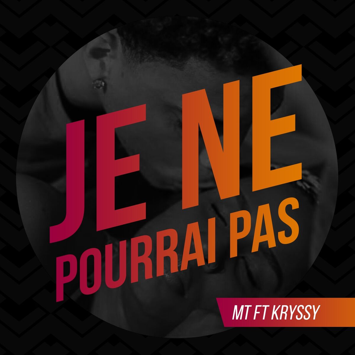 Album cover of Je ne pourrai pas