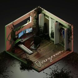 Cover of overgrown