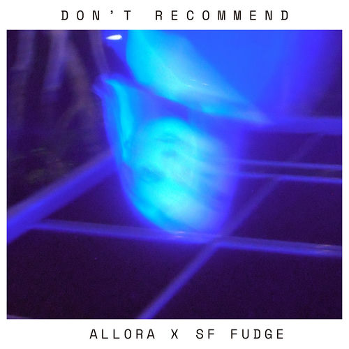 Don't Recommend (SF Fudge Remix)