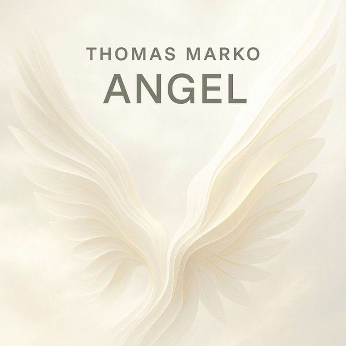 Album cover of Angel
