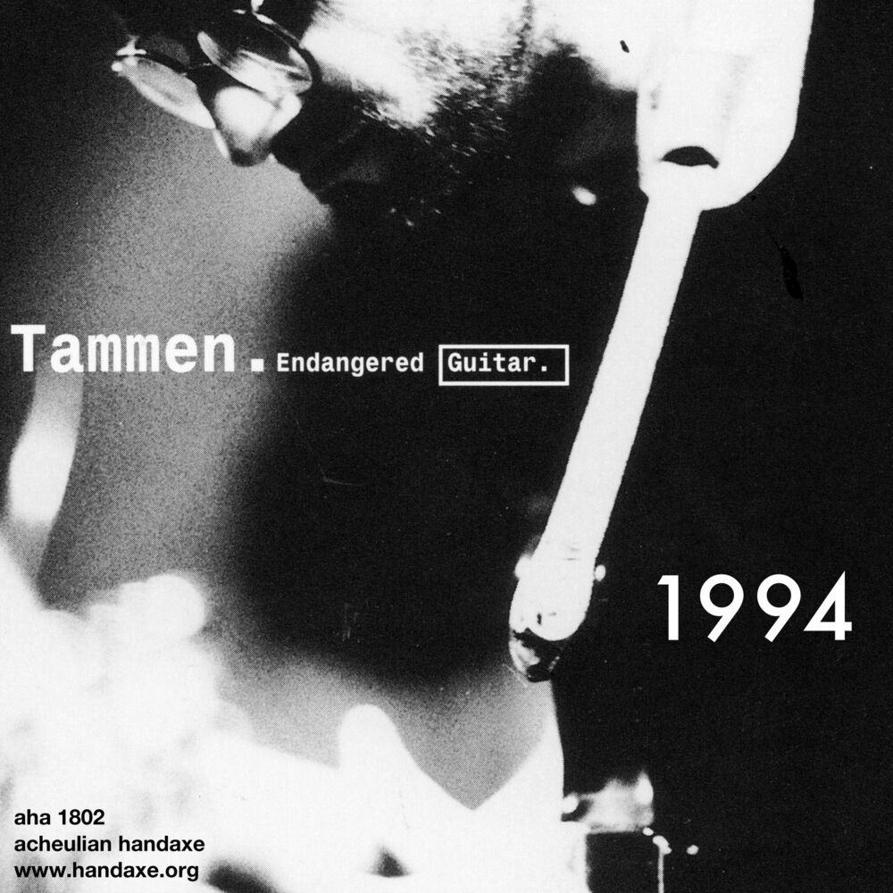 Picture of Endangered (Noise) Guitar 1994