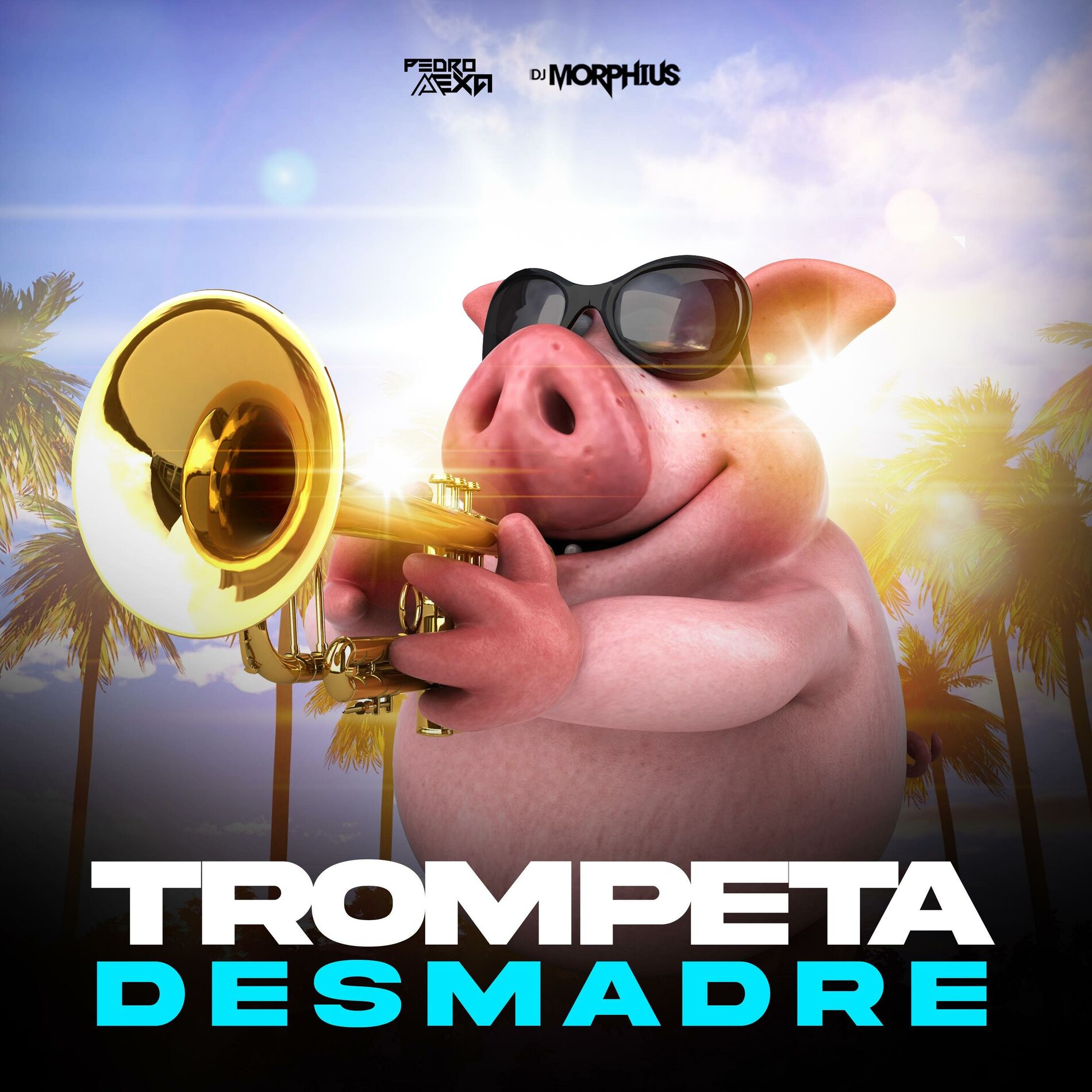 Album cover of Trompeta Desmadre