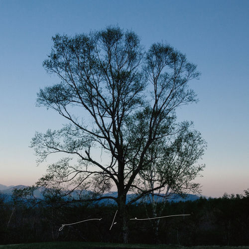 BEAU PAYSAGE by Orbe - 107 BPM