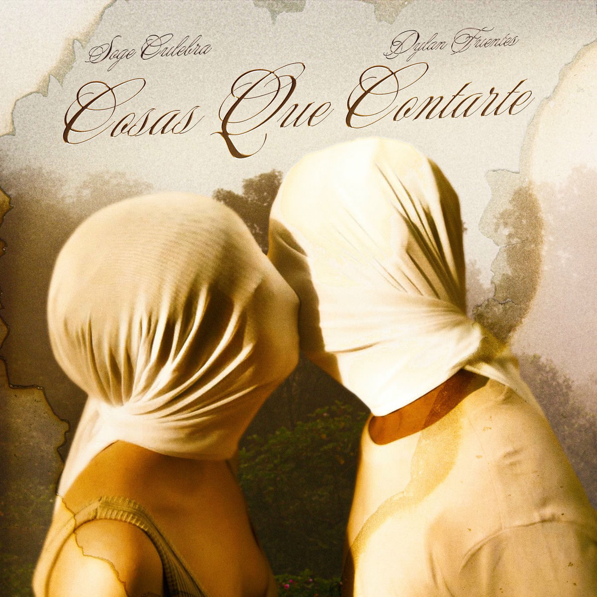 Album cover of Cosas que contarte