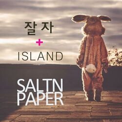 Cover of Good Night + Island