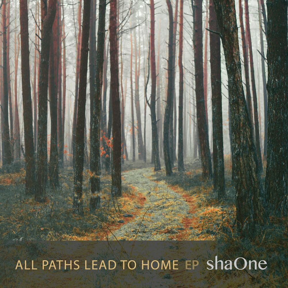 Picture of All Paths Lead to Home