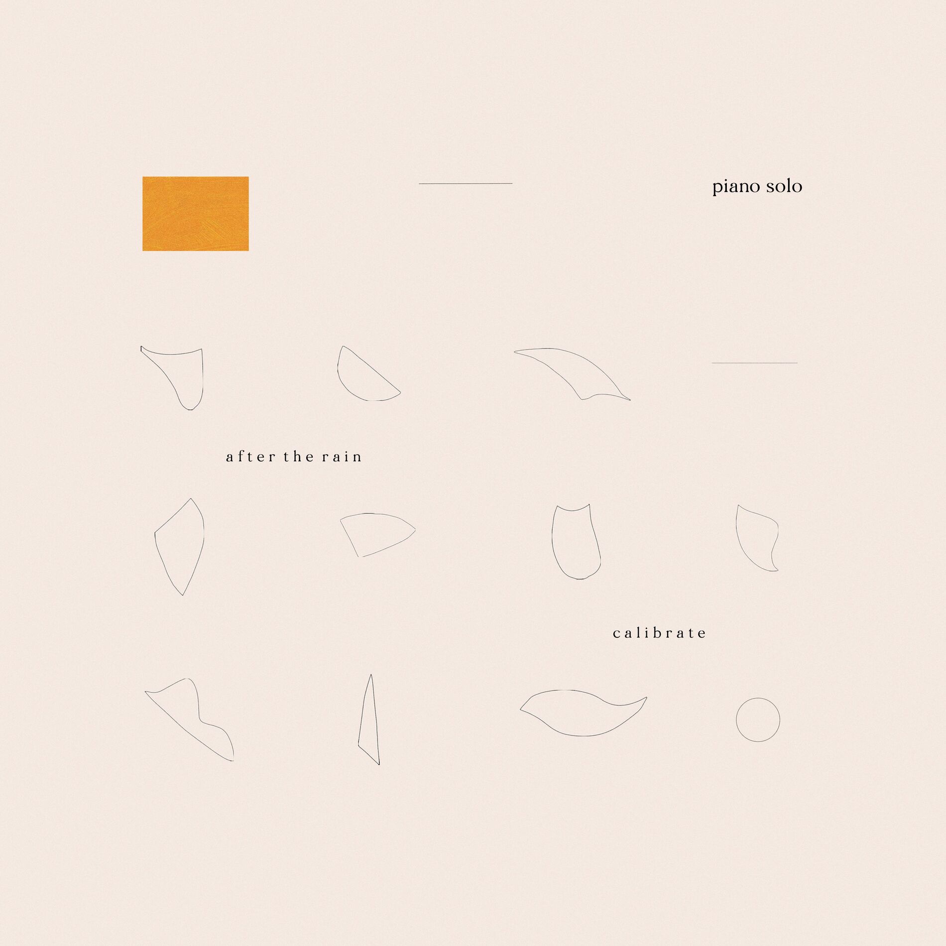 Album cover of After the Rain