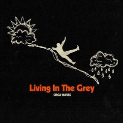 Cover of Living in the Grey