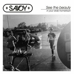 Cover of See the Beauty in Your Drab Hometown