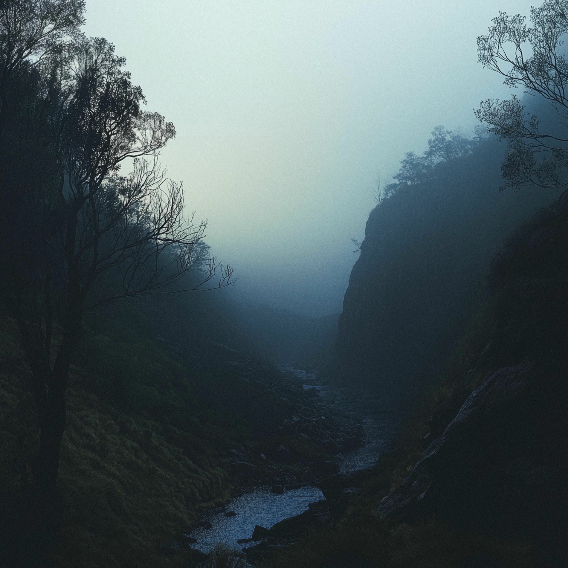 Album cover of nights in grampians