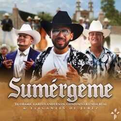Cover of Sumérgeme