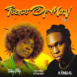 Cover of Peace of Mind (Remix)