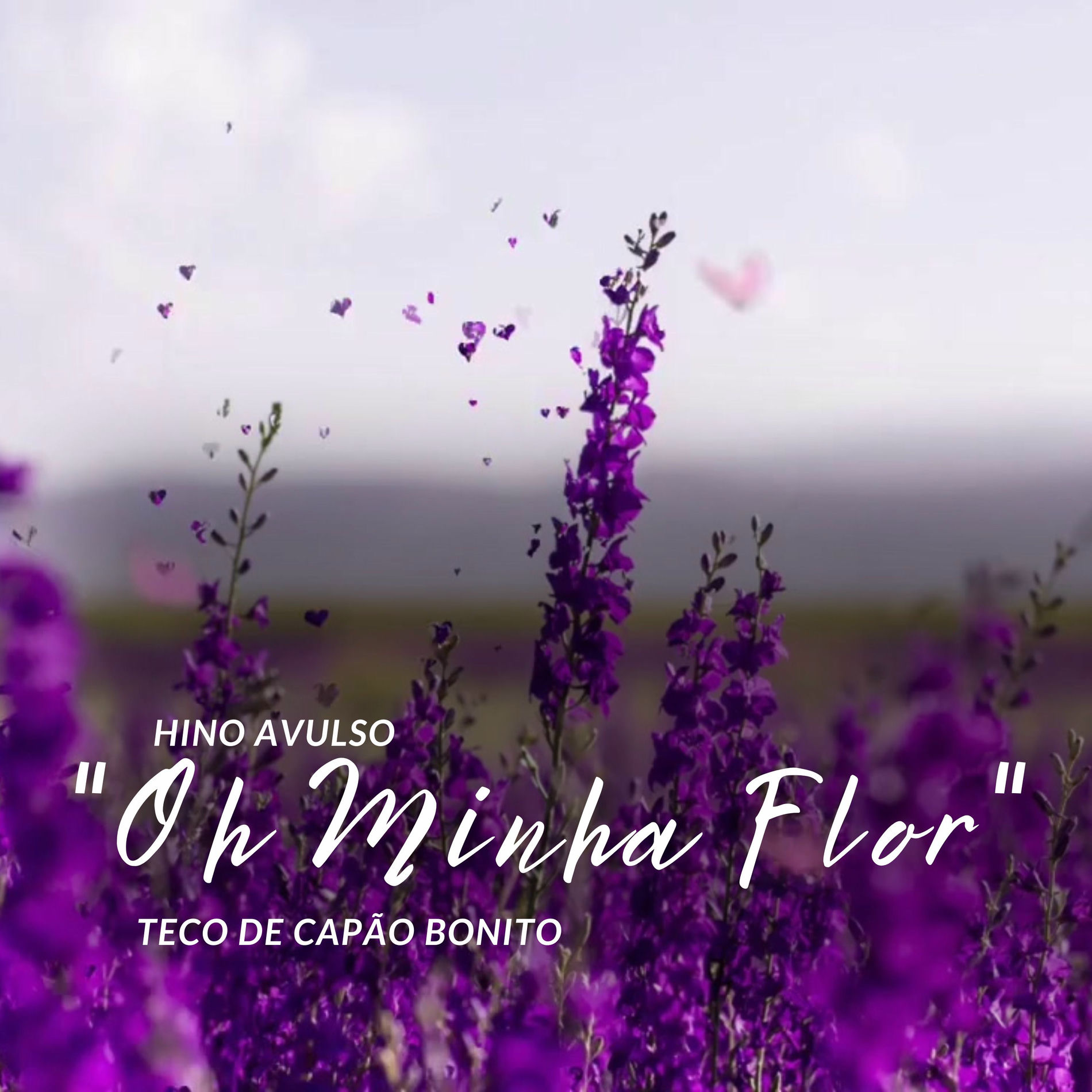 Album cover of Hino Avulso - Oh Minha Flor
