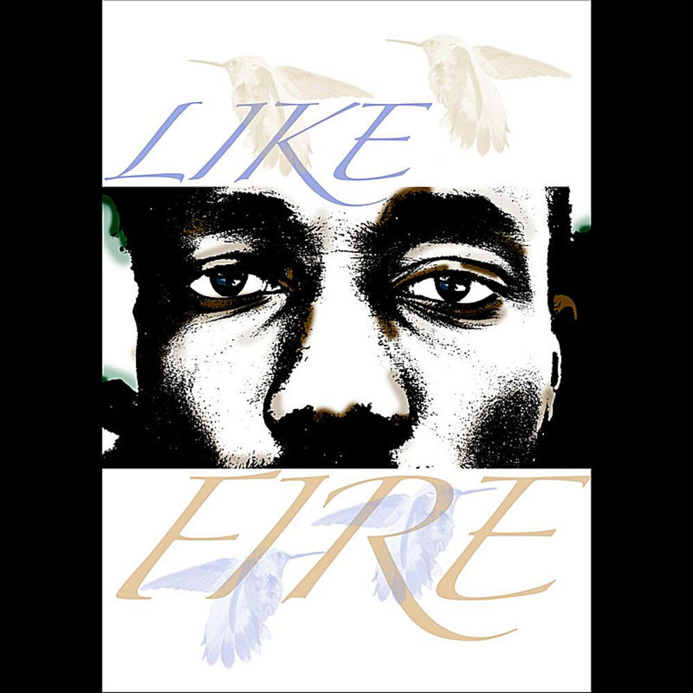 Picture of Like Fire