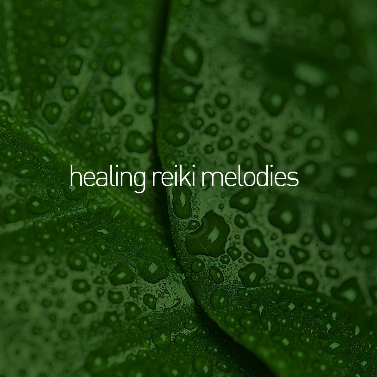 Album cover of Healing Reiki Melodies