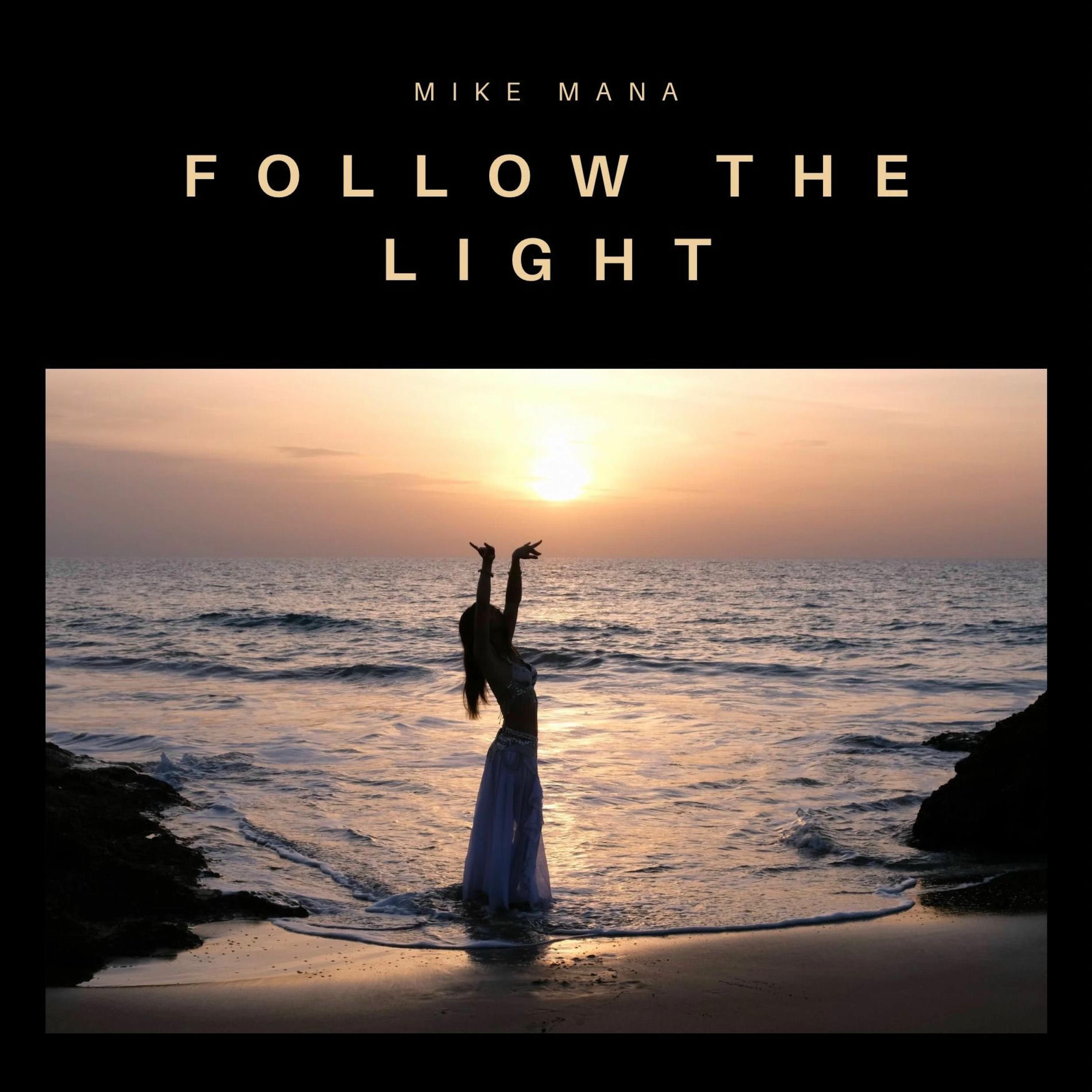 Album cover of Follow The Light