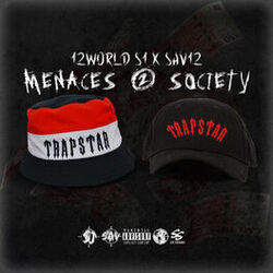 Cover of Menaces 2 Society