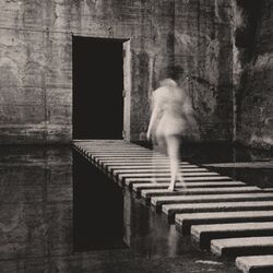 Cover of Sculpture of Violence