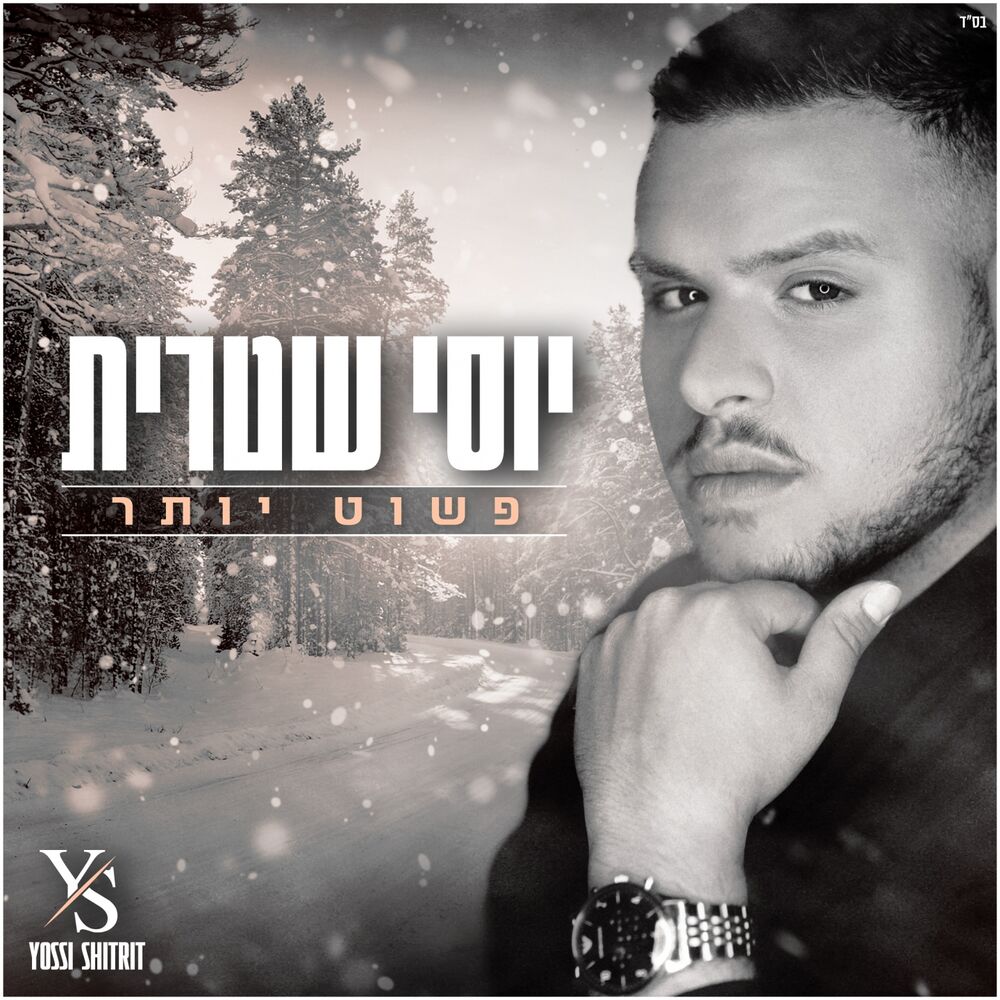 Picture of פשוט יותר