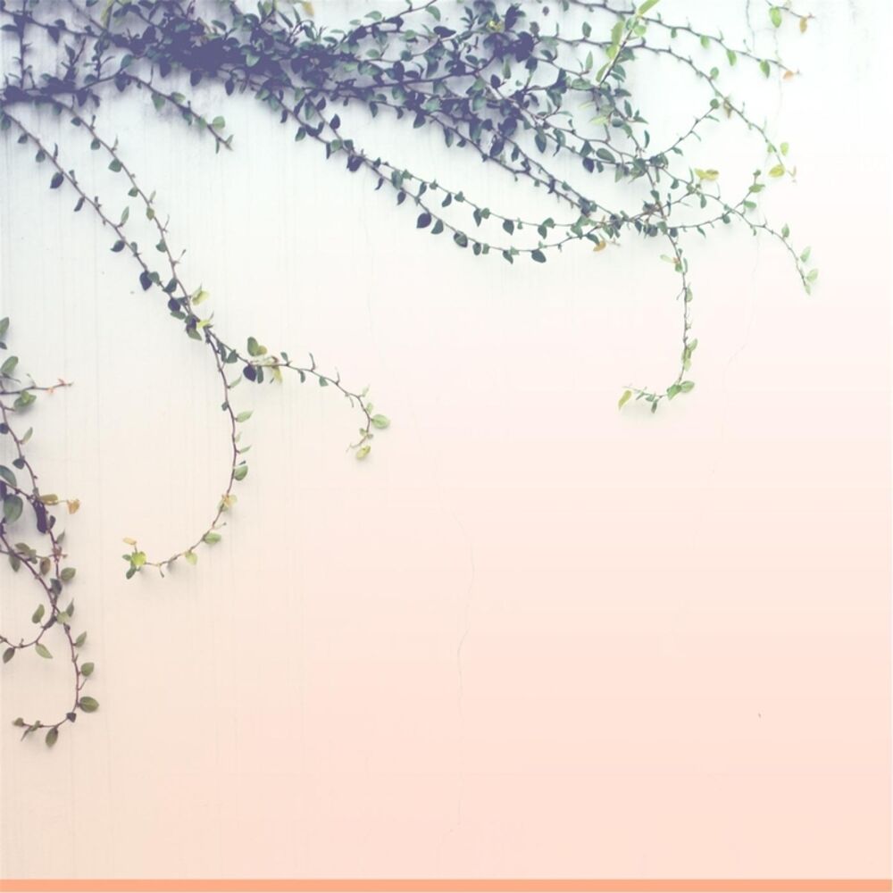 Picture of Valsa e Vapor