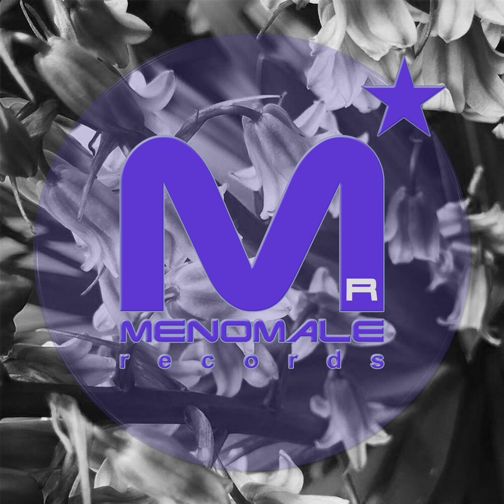 Picture of Menostar, Vol. 65