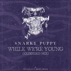 Cover of While We're Young (Extended)